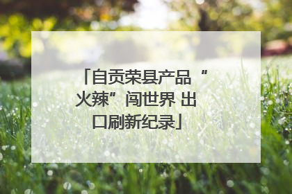 自贡荣县产品“火辣”闯世界 出口刷新纪录