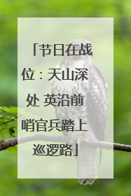 节日在战位：天山深处 英沿前哨官兵踏上巡逻路