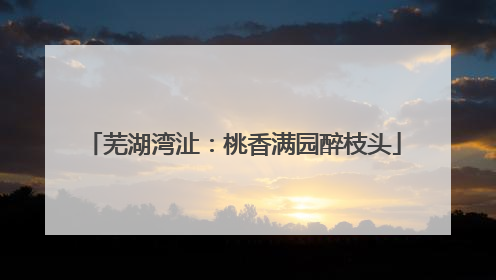 芜湖湾沚：桃香满园醉枝头