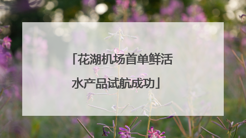 花湖机场首单鲜活水产品试航成功