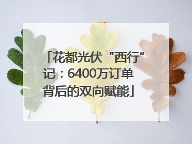 花都光伏“西行”记：6400万订单背后的双向赋能