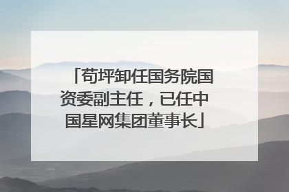 苟坪卸任国务院国资委副主任，已任中国星网集团董事长