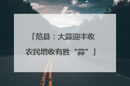 范县：大蒜迎丰收 农民增收有胜“蒜”