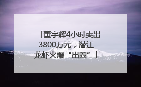董宇辉4小时卖出3800万元，潜江龙虾火爆“出圈”
