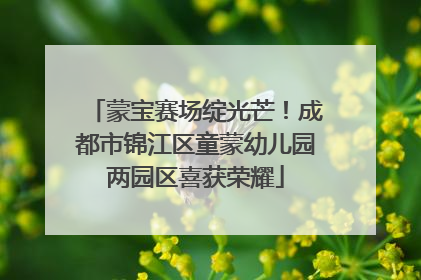 蒙宝赛场绽光芒！成都市锦江区童蒙幼儿园两园区喜获荣耀