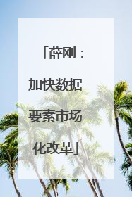 薛刚：加快数据要素市场化改革