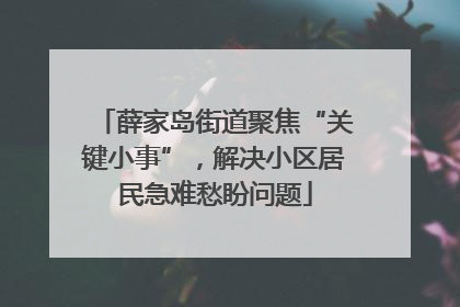 薛家岛街道聚焦“关键小事”，解决小区居民急难愁盼问题