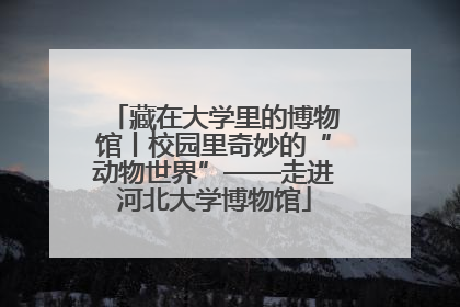 藏在大学里的博物馆丨校园里奇妙的“动物世界”——走进河北大学博物馆