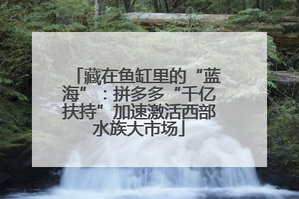 藏在鱼缸里的“蓝海”：拼多多“千亿扶持”加速激活西部水族大市场