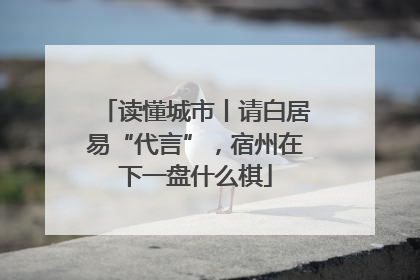 读懂城市丨请白居易“代言”，宿州在下一盘什么棋