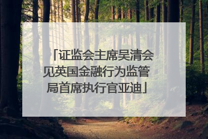证监会主席吴清会见英国金融行为监管局首席执行官亚迪