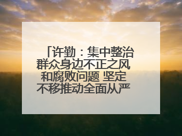 许勤：集中整治群众身边不正之风和腐败问题 坚定不移推动全面从严治党向基层延伸