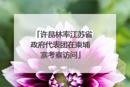 许昆林率江苏省政府代表团在柬埔寨考察访问