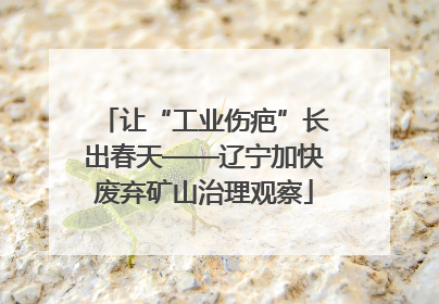 让“工业伤疤”长出春天——辽宁加快废弃矿山治理观察