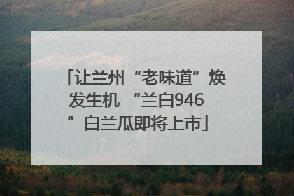 让兰州“老味道”焕发生机 “兰白946”白兰瓜即将上市