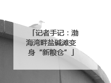 记者手记：渤海湾畔盐碱滩变身“新粮仓”