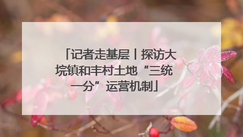 记者走基层丨探访大垸镇和丰村土地“三统一分”运营机制