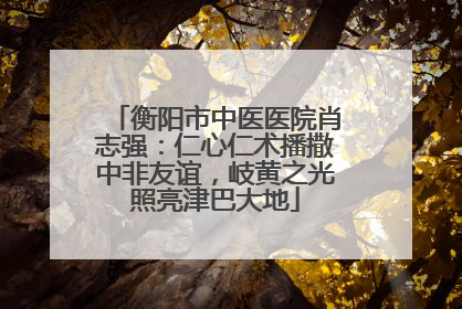 衡阳市中医医院肖志强：仁心仁术播撒中非友谊，岐黄之光照亮津巴大地