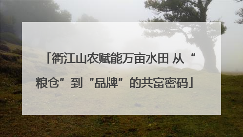 衢江山农赋能万亩水田 从“粮仓”到“品牌”的共富密码