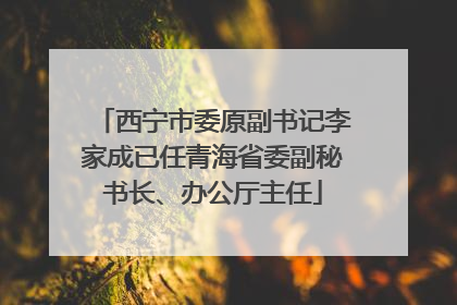 西宁市委原副书记李家成已任青海省委副秘书长、办公厅主任