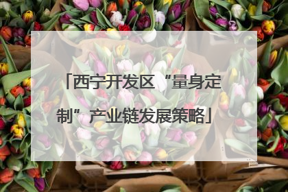 西宁开发区“量身定制”产业链发展策略