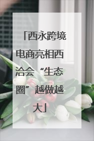 西永跨境电商亮相西洽会“生态圈”越做越大