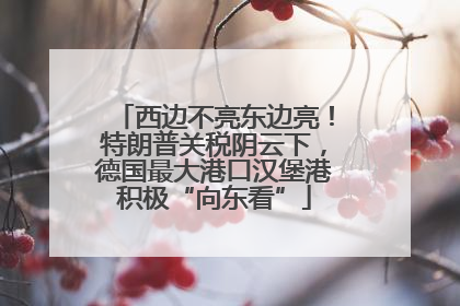 西边不亮东边亮！特朗普关税阴云下，德国最大港口汉堡港积极“向东看”