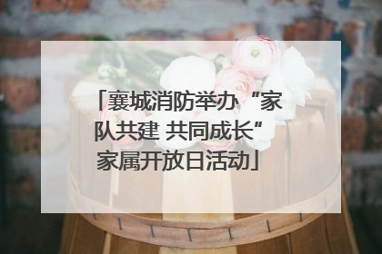 襄城消防举办“家队共建 共同成长”家属开放日活动