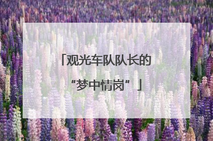 观光车队队长的“梦中情岗”