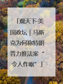 观天下·美国政坛｜马斯克为何称特朗普力推法案“令人作呕”