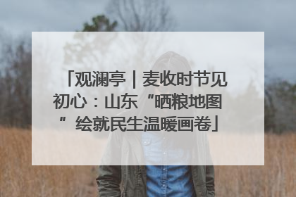 观澜亭｜麦收时节见初心：山东“晒粮地图”绘就民生温暖画卷