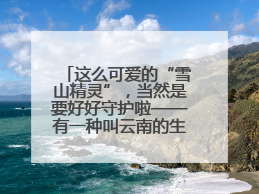 这么可爱的“雪山精灵”，当然是要好好守护啦——有一种叫云南的生活之365天