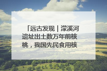 远古发现｜濛溪河遗址出土数万年前核桃，我国先民食用核桃历史大幅提前