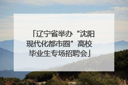 辽宁省举办“沈阳现代化都市圈”高校毕业生专场招聘会
