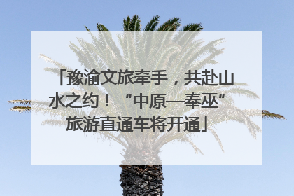 豫渝文旅牵手，共赴山水之约！“中原—奉巫”旅游直通车将开通