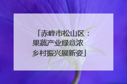 赤峰市松山区：果蔬产业绿意浓 乡村振兴展新姿
