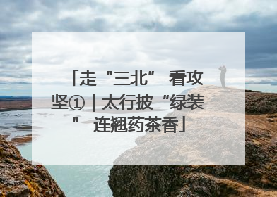 走“三北” 看攻坚①｜太行披“绿装” 连翘药茶香