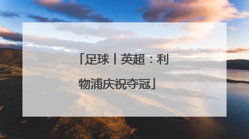 足球丨英超：利物浦庆祝夺冠