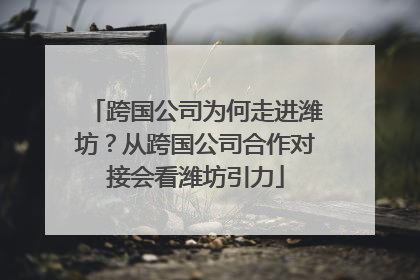 跨国公司为何走进潍坊？从跨国公司合作对接会看潍坊引力