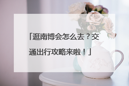 逛南博会怎么去？交通出行攻略来啦！