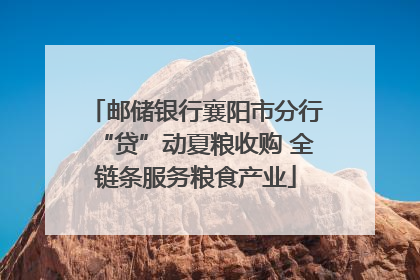邮储银行襄阳市分行“贷”动夏粮收购 全链条服务粮食产业