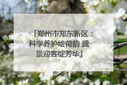 郑州市郑东新区：科学养护绘荷韵 盛景迎客绽芳华