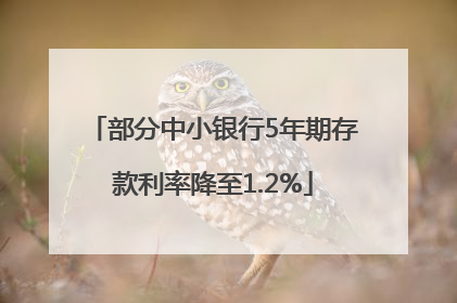 部分中小银行5年期存款利率降至1.2%