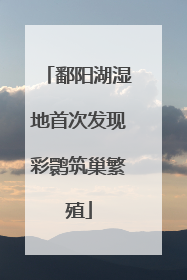 鄱阳湖湿地首次发现彩鹮筑巢繁殖