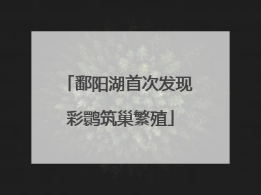 鄱阳湖首次发现彩鹮筑巢繁殖