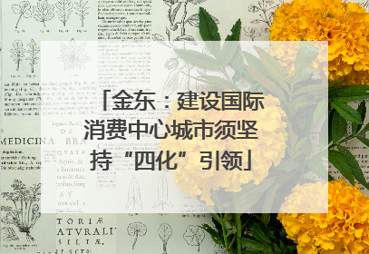 金东：建设国际消费中心城市须坚持“四化”引领