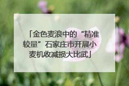 金色麦浪中的“精准较量”石家庄市开展小麦机收减损大比武