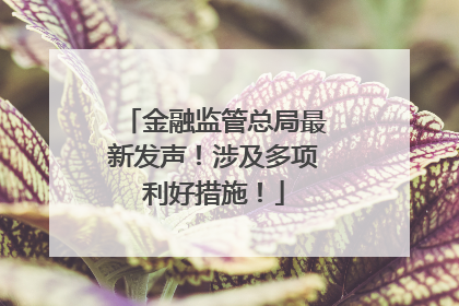 金融监管总局最新发声！涉及多项利好措施！
