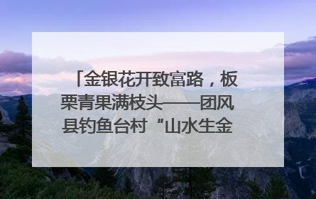 金银花开致富路，板栗青果满枝头——团风县钓鱼台村“山水生金”谱写共富新篇章