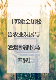 韩俊会见秘鲁农业发展与灌溉部部长马内罗